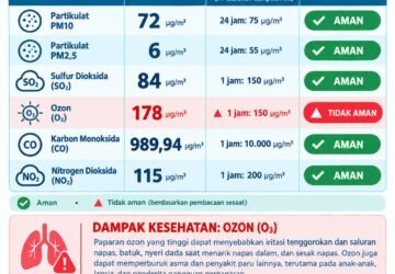 Kadar Ozon Melampaui Baku Mutu, Kualitas Udara Ambon Tidak Aman